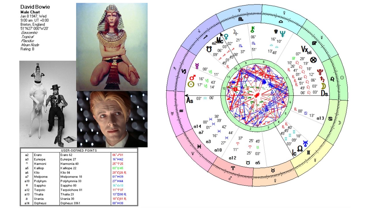 Bowie Muse Chart