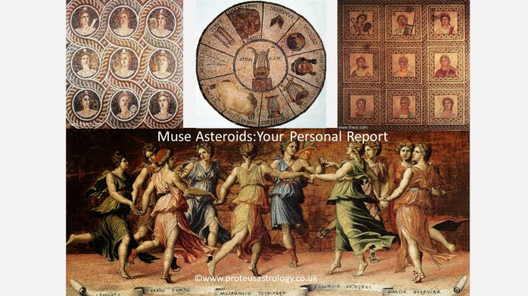 Muse Asteroid Report