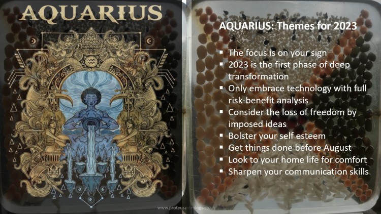Aquarius