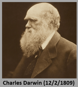 Darwin